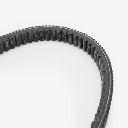 Drive Belt 842 22.6 30