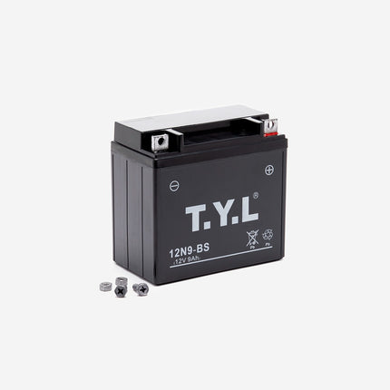 Battery 12N9-BS for Multiple Models