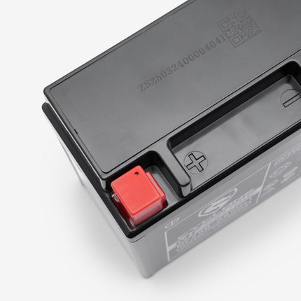 Battery MFX9B-RS