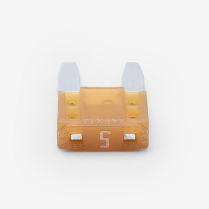 Fuse F Type 5A