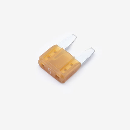 Fuse F Type 5A