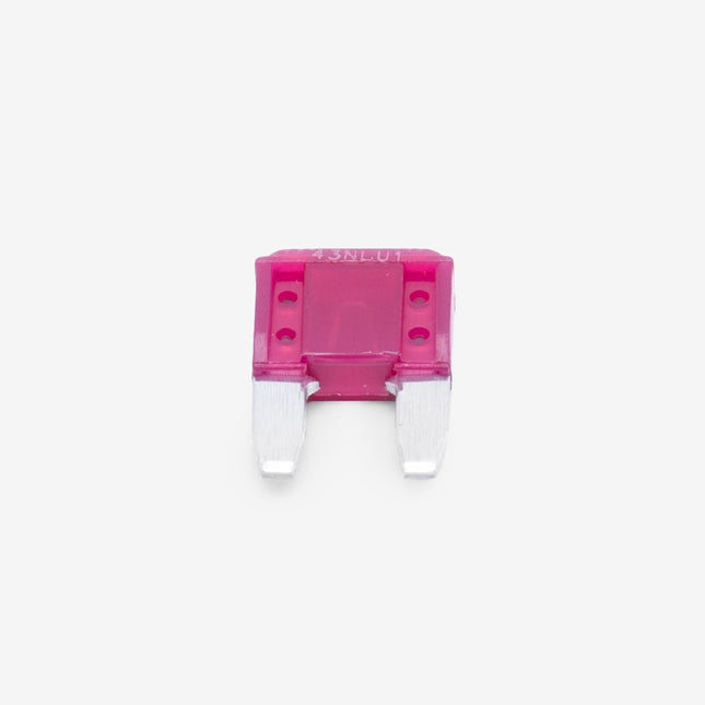 Fuse F Type 10A