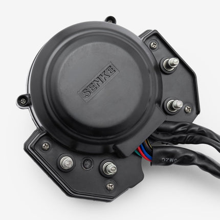 Speedo Assembly for SK125-8-E4, SOFTCHOPPER2