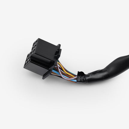 Speedo Assembly