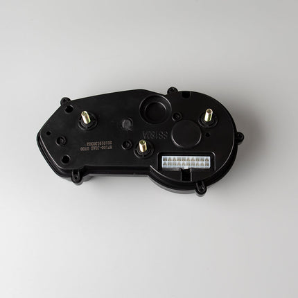 Speedo Assembly for ZS125-48E
