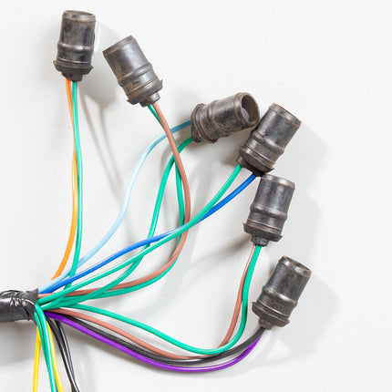 Speedo Wiring Loom