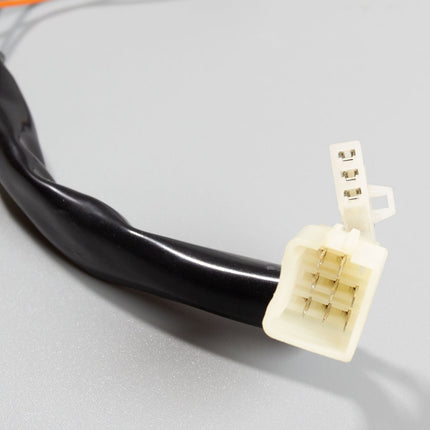 Speedo Wiring Loom