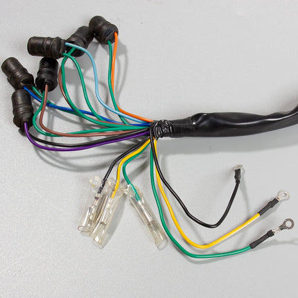 Speedo Wiring Loom