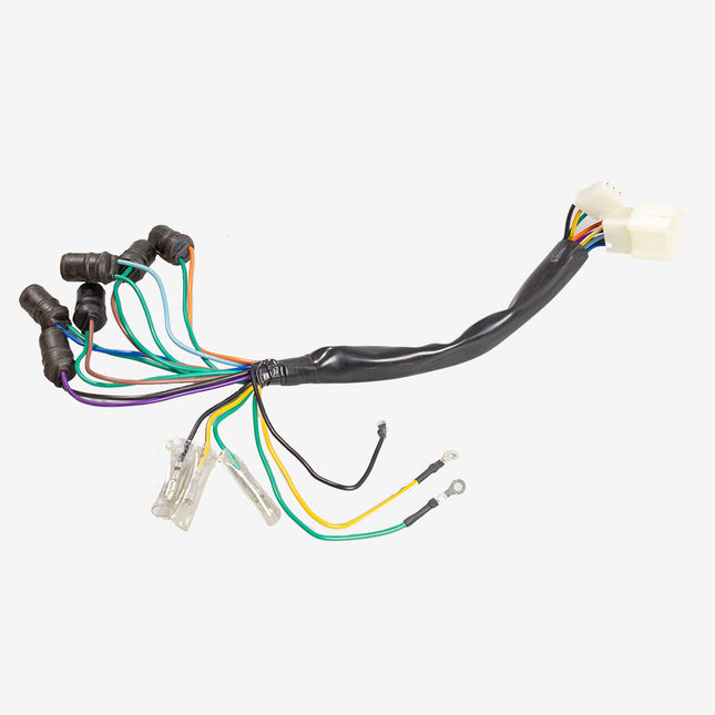 Speedo Wiring Loom