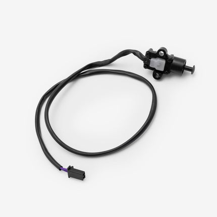 Side Stand Switch