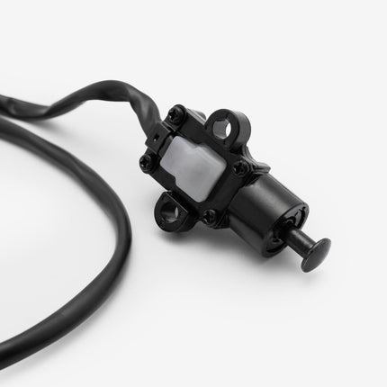Side Stand Switch