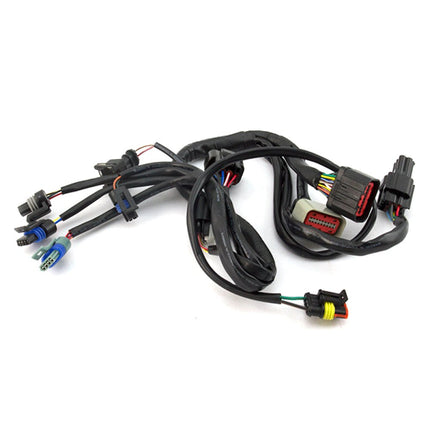 EFI System Wiring Loom for LJ125T-8M-E4