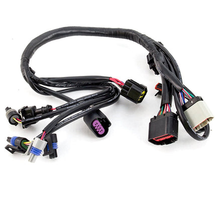 Wiring Loom - EFI System for LJ125T-V