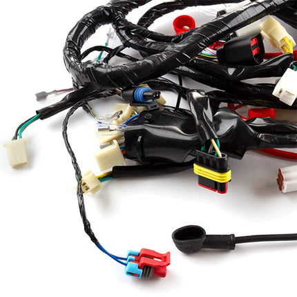 Wiring Loom for ZN125T-Y