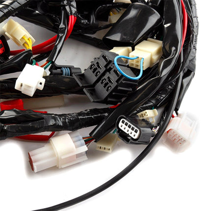 Wiring Loom for ZN125T-Y