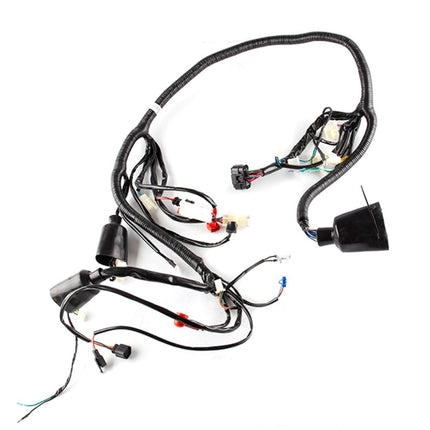 Wiring Loom for ZS125T-40-E4
