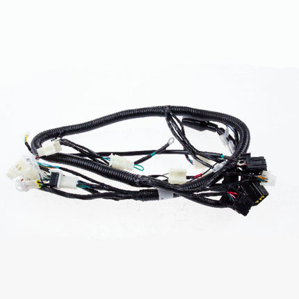 Wiring Loom for LJ125-9A, LJ125-9A-GT, SCMB125