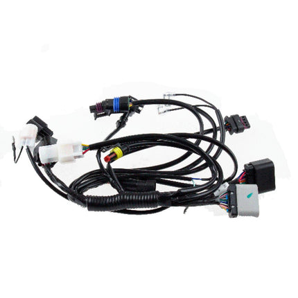 Wiring Loom for LJ125-9A, LJ125-9A-GT, SCMB125