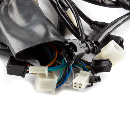 Wiring Loom for ZS125T-48