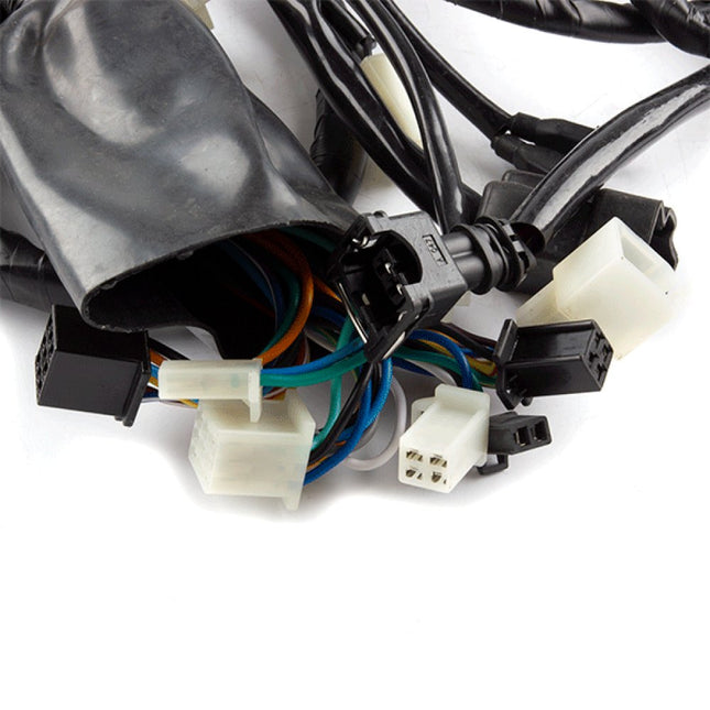 Wiring Loom for ZS125T-48