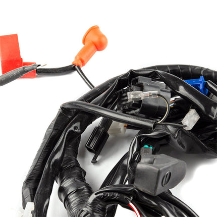 Wiring Loom for ZS125T-48