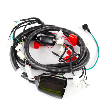 Main Wiring Loom for LJ50QT-5L, LJ50QT-6L