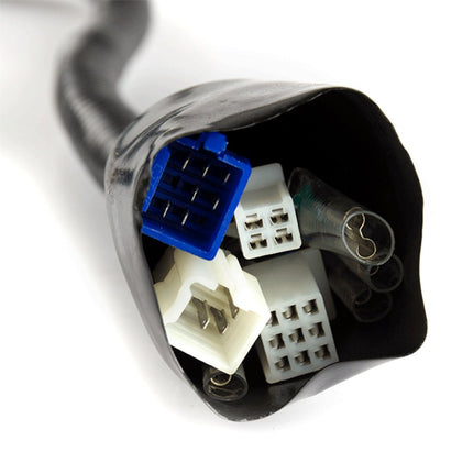 Wiring Loom for SK125-L, HJ125-J-E4, FIREFLY