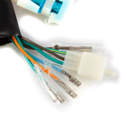 Wiring Loom for SK125-L, HJ125-J-E4, FIREFLY