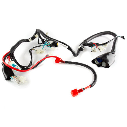 Wiring Loom for SK125-L, HJ125-J-E4, FIREFLY