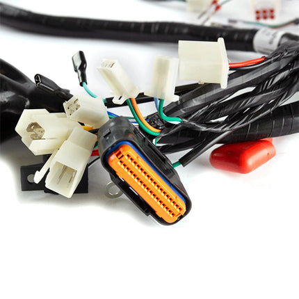 Wiring Loom for JJ50QT-17