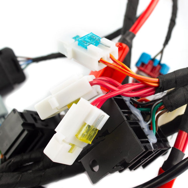 Double Plug ECU Wiring Loom
