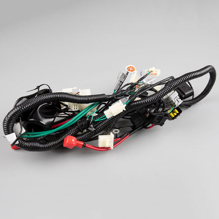 Wiring Loom (Main) for LJ125T-18
