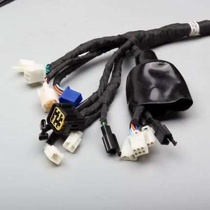 Wiring Loom for ZS1200DT