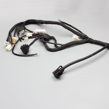 Wiring Loom for ZS1200DT