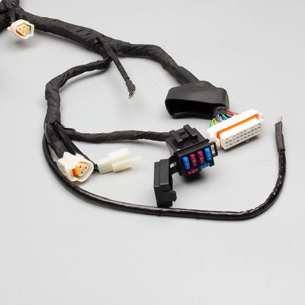 Wiring Loom for ZS1200DT