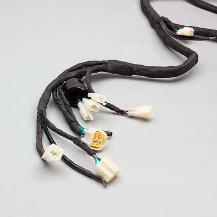 Wiring Loom for ZS1200DT