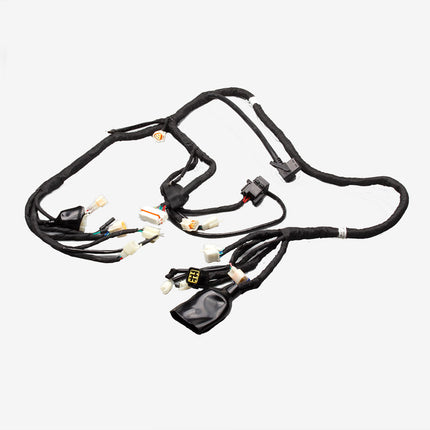Wiring Loom for ZS1200DT