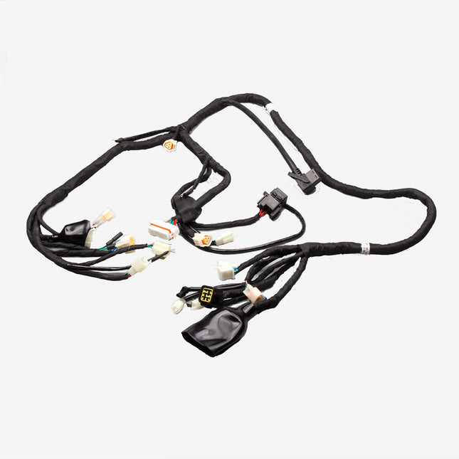 Wiring Loom for ZS1200DT