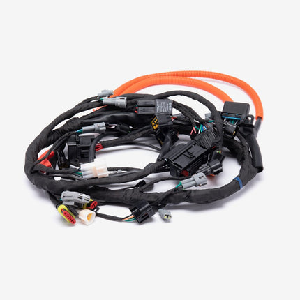 Wiring Loom for LX6000D-A-E5