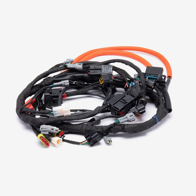 Wiring Loom for LX6000D-A-E5