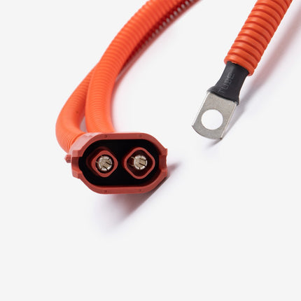 High Voltage Cables (Battery To Controller) for LX6000D-A-E5