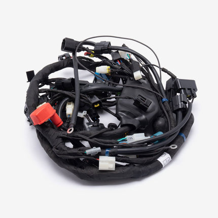 Main Wiring Loom for LX500-J-E5