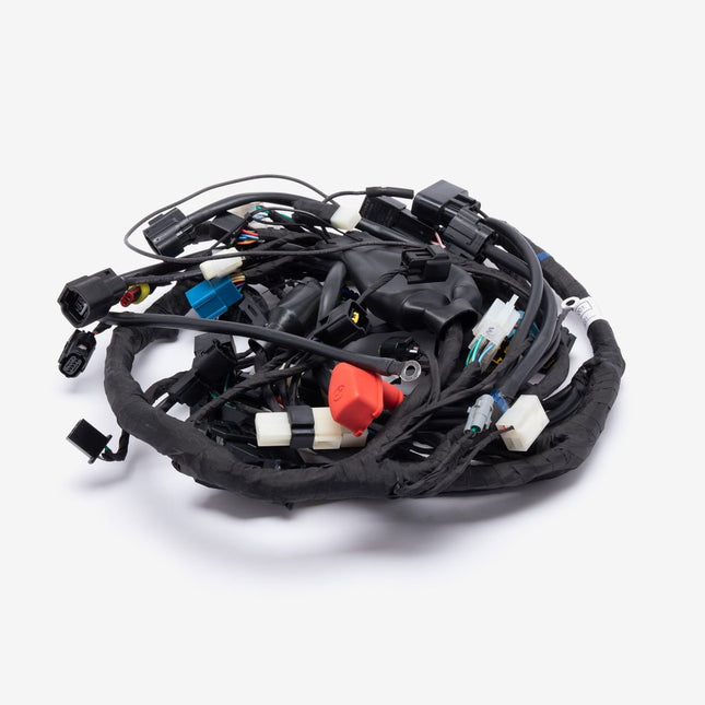 Main Wiring Loom for LX500-J-E5
