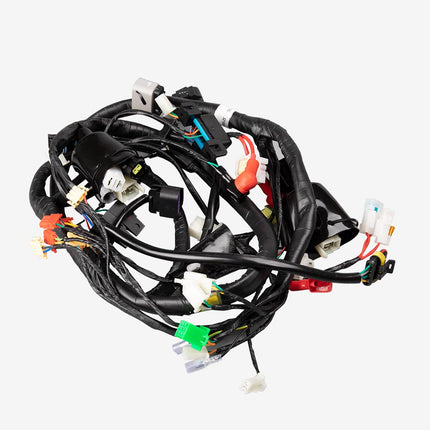 Wiring Loom for ZN125T-8F-E5