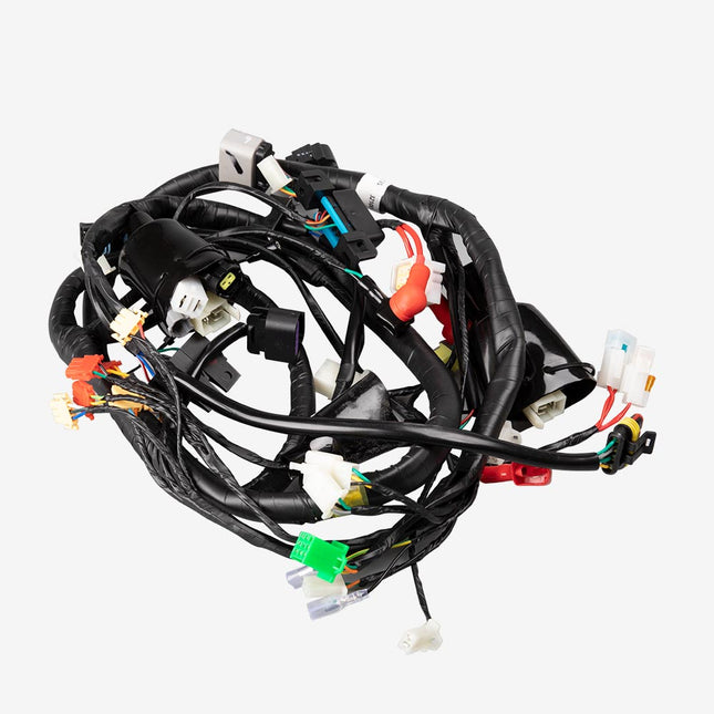 Wiring Loom for ZN125T-8F-E5