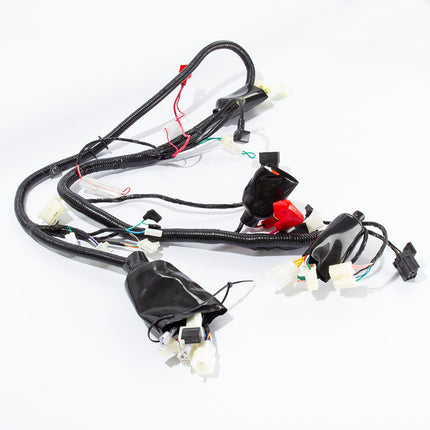 Wiring Loom E5 for LJ50QT-6L-E5