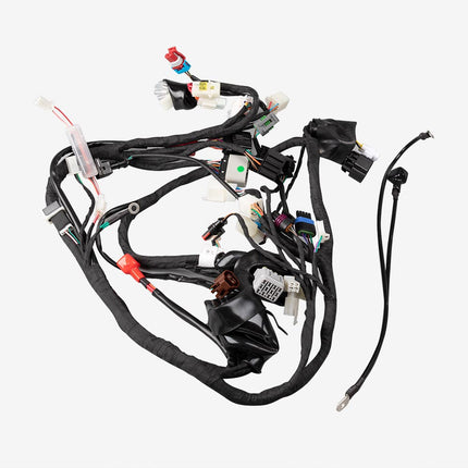 Double Plug ECU Wiring Loom for SY125-10-SE-E5