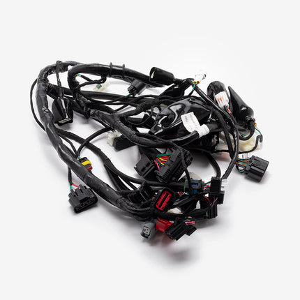 Wiring Loom for LJ300T-18-E5