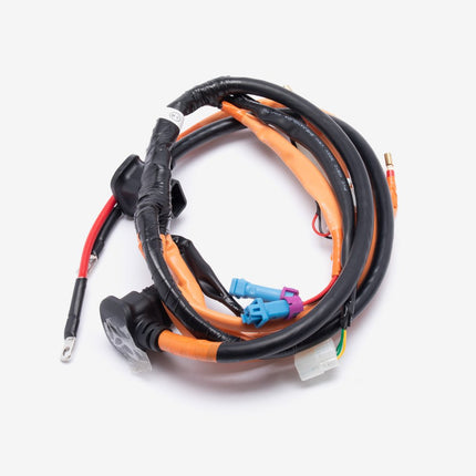 Wiring Loom for YD3000D-03-E5