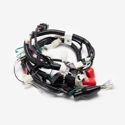 Wiring Loom for LJ125-9A-GT-E5, LJ125-9A-E5